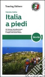 Italia a piedi libro