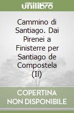 Cammino di Santiago. Dai Pirenei a Finisterre per Santiago de Compostela (Il) libro