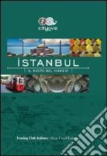 Istanbul. Il gusto del viaggio libro