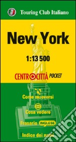 New York 1:13.500 libro