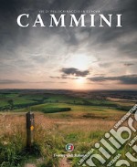 Cammini. Vie di pellegrinaggio in Europa libro