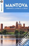 Mantova, Sabbioneta, il Mincio e la 'Bassa'. Con Carta geografica ripiegata libro