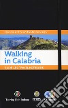 Walking in Calabria. Guide and travel notebook libro