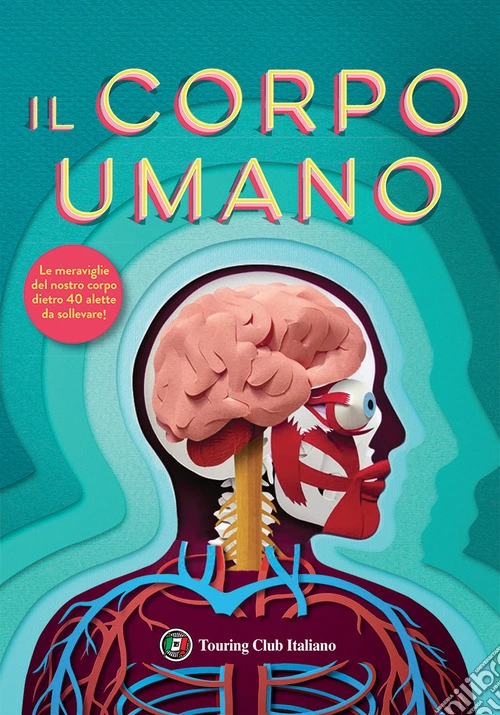 Il corpo umano. Solleva le alette e trova le risposte! I primi libri del perché