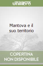 Mantova e il suo territorio libro