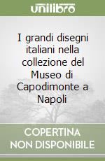 I grandi disegni italiani nella collezione del Museo di Capodimonte a Napoli libro