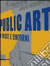 Public Art a Trieste e dintorni. Ediz. italiana e inglese libro