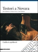 Testori a Novara. San Gaudenzio, il museo civico e sant'Eufemia. Ediz. illustrata libro