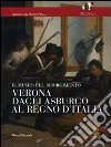 Verona dagli Asburgo al Regno d'Italia. Il Museo del Risorgimento libro