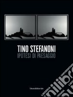 Tino Stefanoni. Ipotesi di paesaggio. Catalogo della mostra (Milano, 21 novembre-22 dicembre 2013). Ediz. italiana e inglese libro