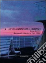 La nuit les molécules l'horizon Fabien Danesi. Oeuvres de la collection du FRAC Corse. Ediz. illustrata libro