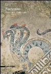 Sarteano. Museo civico archeologico libro