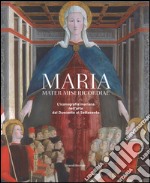 Maria mater misericordiae. L'iconografia mariana nell'arte dal Duecento al Settecento libro