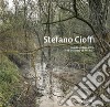 Stefano Cioffi. L'ombra della città. Ediz. italiana e inglese libro
