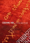 Cesare Viel. Corpi estranei. Ediz. italiana e inglese libro