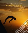 Joseph De Felici. Dentro la luce. Ediz. italiana e inglese libro