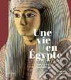 Une vie en Égypte. Périchon-Bey et sa collection. Ediz. illustrata libro