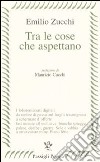 Tra le cose che aspettano libro di Zucchi Emilio