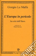 L'Europa in pericolo. La crisi dell'euro libro