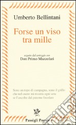 Forse un viso tra mille libro