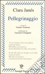 Pellegrinaggio