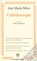 Caleidoscopio libro