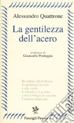 La gentilezza dell'acero libro