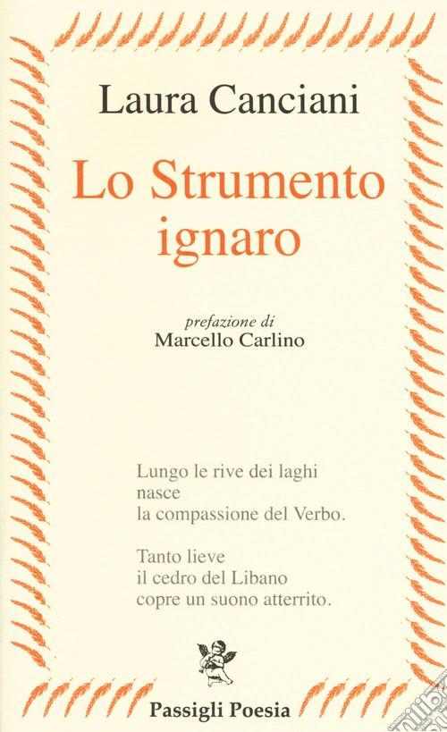 Lo strumento ignaro