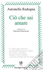 Ciò che sai amare libro