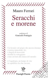 Seracchi e morene