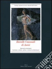 Raccolte Comunali di Assisi libro