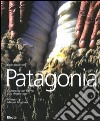 Patagonia. Compañía de Tierras Sud Argentino. Ediz. italiana e inglese libro