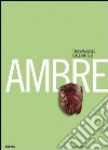 Ambre. Guida breve. Ediz. illustrata libro