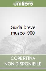 Guida breve museo '900