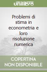 Problemi di stima in econometria e loro risoluzione numerica libro