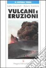 Vulcani e eruzioni. Con CD-ROM libro