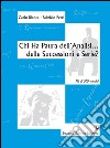 Chi ha paura dell'analisi... delle successioni e serie? libro