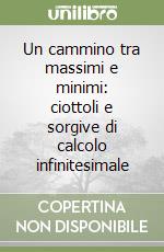 Un cammino tra massimi e minimi: ciottoli e sorgive di calcolo infinitesimale libro