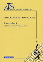 Forme culturali del cristianesimo nascente libro