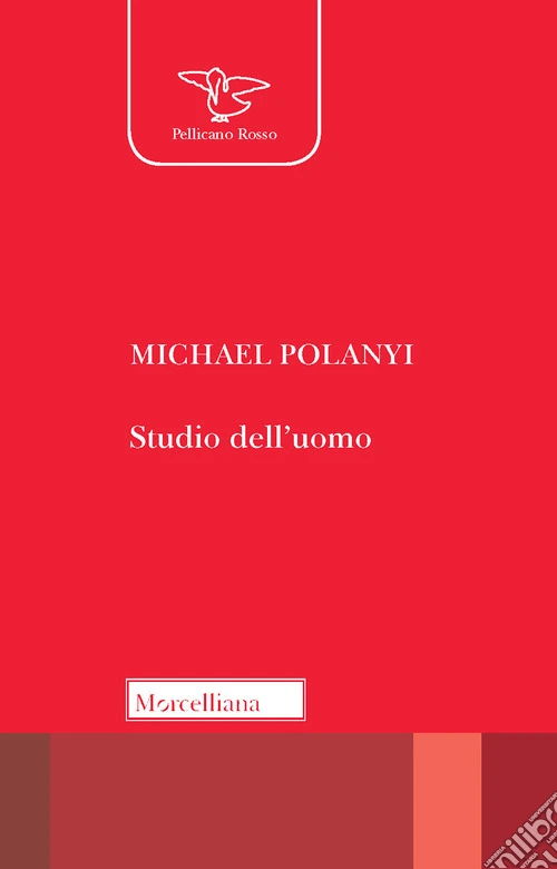 Studio dell'uomo
