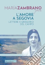 L'amore a Segovia. Lettere a Gregorio del Campo libro