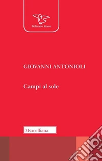 Campi al sole