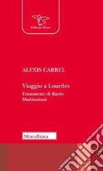 Viaggio a Lourdes. Frammenti di diario. Meditazioni. Nuova ediz. libro