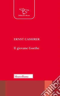 Il giovane Goethe libro