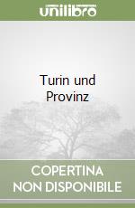 Turin und Provinz