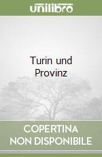 Turin und Provinz libro