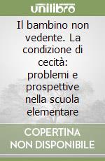 Il bambino non vedente. La condizione di cecità: problemi e prospettive nella scuola elementare libro