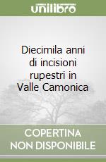 Diecimila anni di incisioni rupestri in Valle Camonica libro