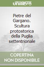 Pietre del Gargano. Scultura protostorica della Puglia settentrionale libro
