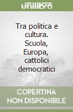 Tra politica e cultura. Scuola, Europa, cattolici democratici